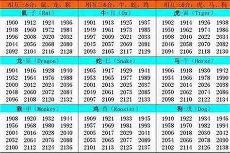 1994年什么命|1994年出生是什么命